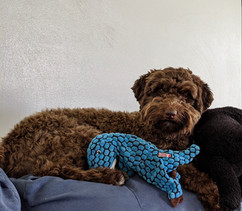img_20200810_123642_original.jpeg