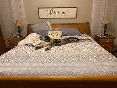 image11.jpeg