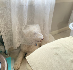 img_0034.jpeg
