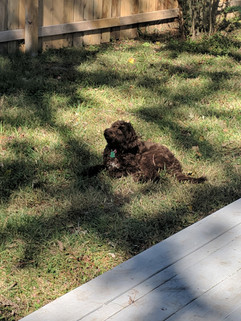 image-20191024_125937_original.jpeg