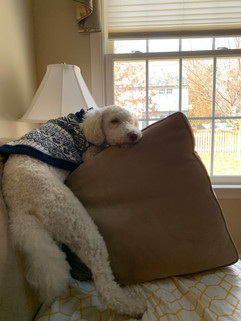 img_0216.jpeg