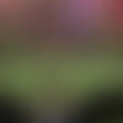 BBB23: Confira tudo que rolou no jogo da discórdia