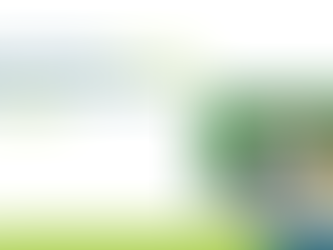 Top 10 Lessons from the Dual Teacher Model for Educators