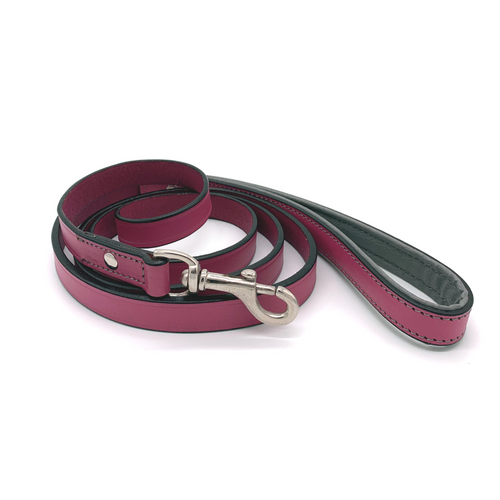 Lupine 1/2 Inch 4-foot Blue Nylon Dog Lead Padded Handle Lupine 1...