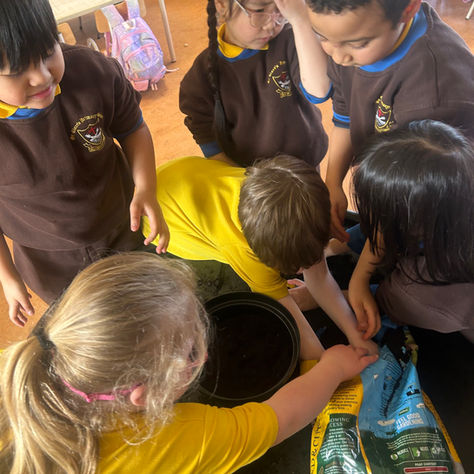 Doing some Gardening