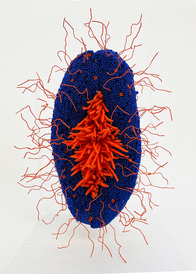 La Mer(e), Origine du Monde...