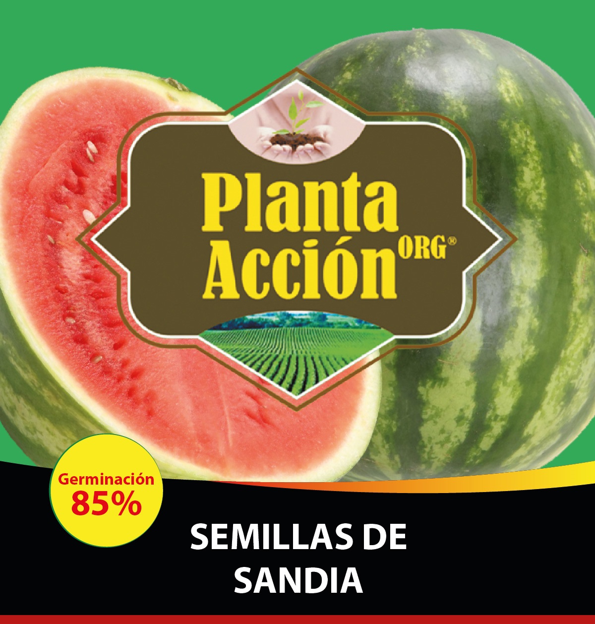 SEMILLAS DE SANDIA