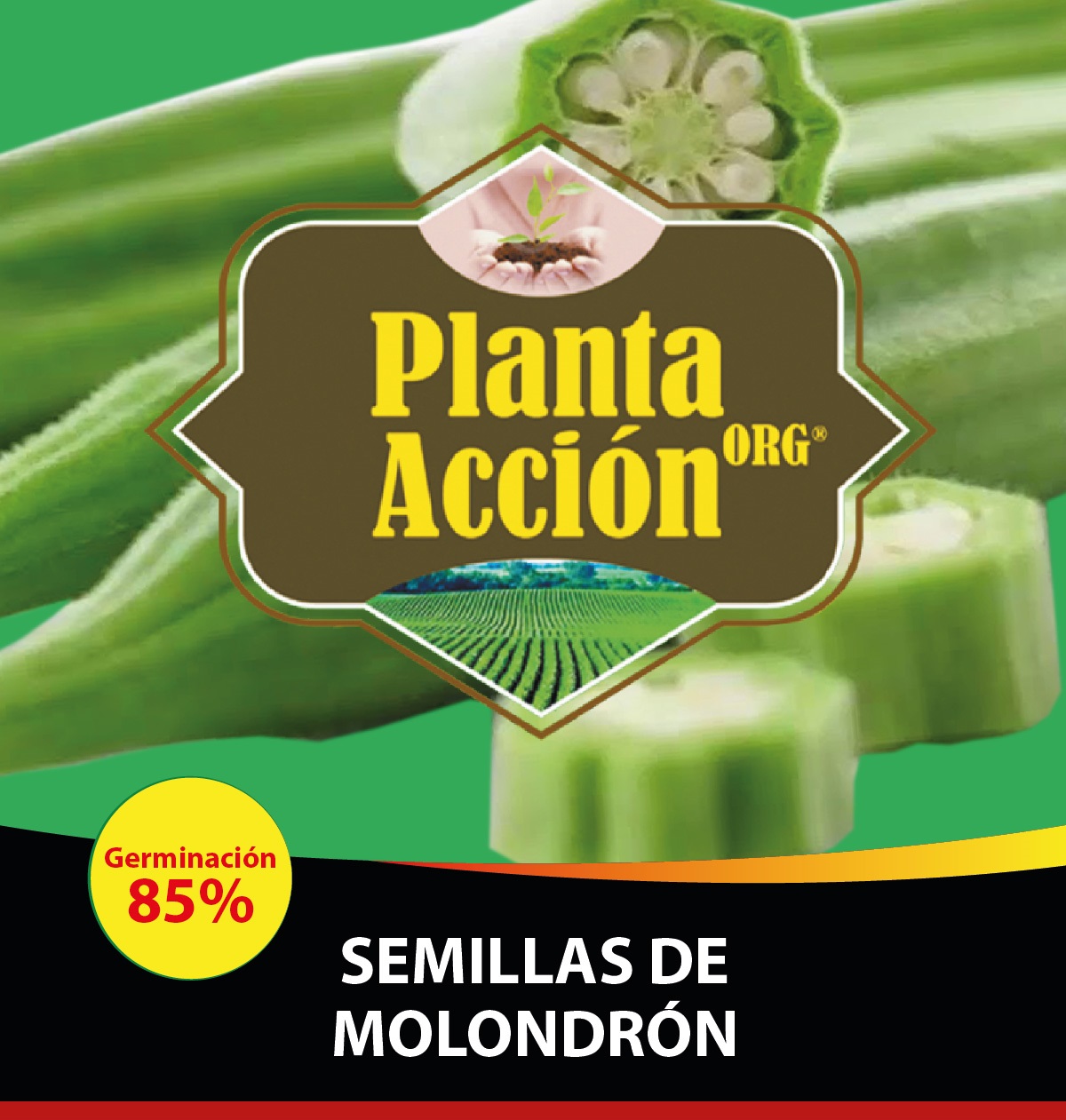 SEMILLAS DE MOLONDRON