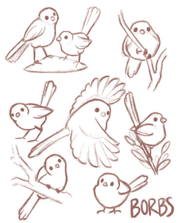 A sketch and study of birds in different poses. 