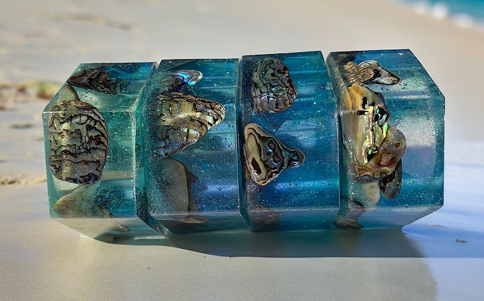 Thumbnail: Shallow water Ocean theme Napkin Rings