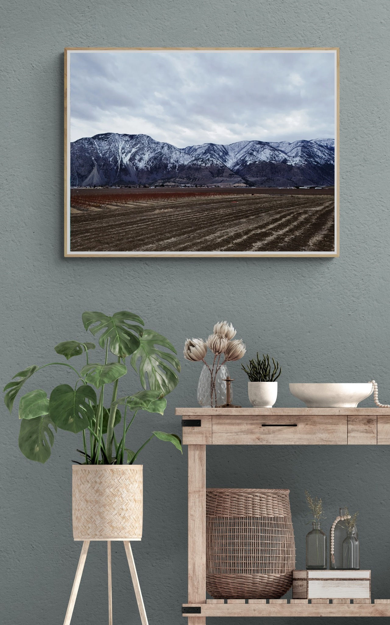 CO235 - Snow Capped Agriculture