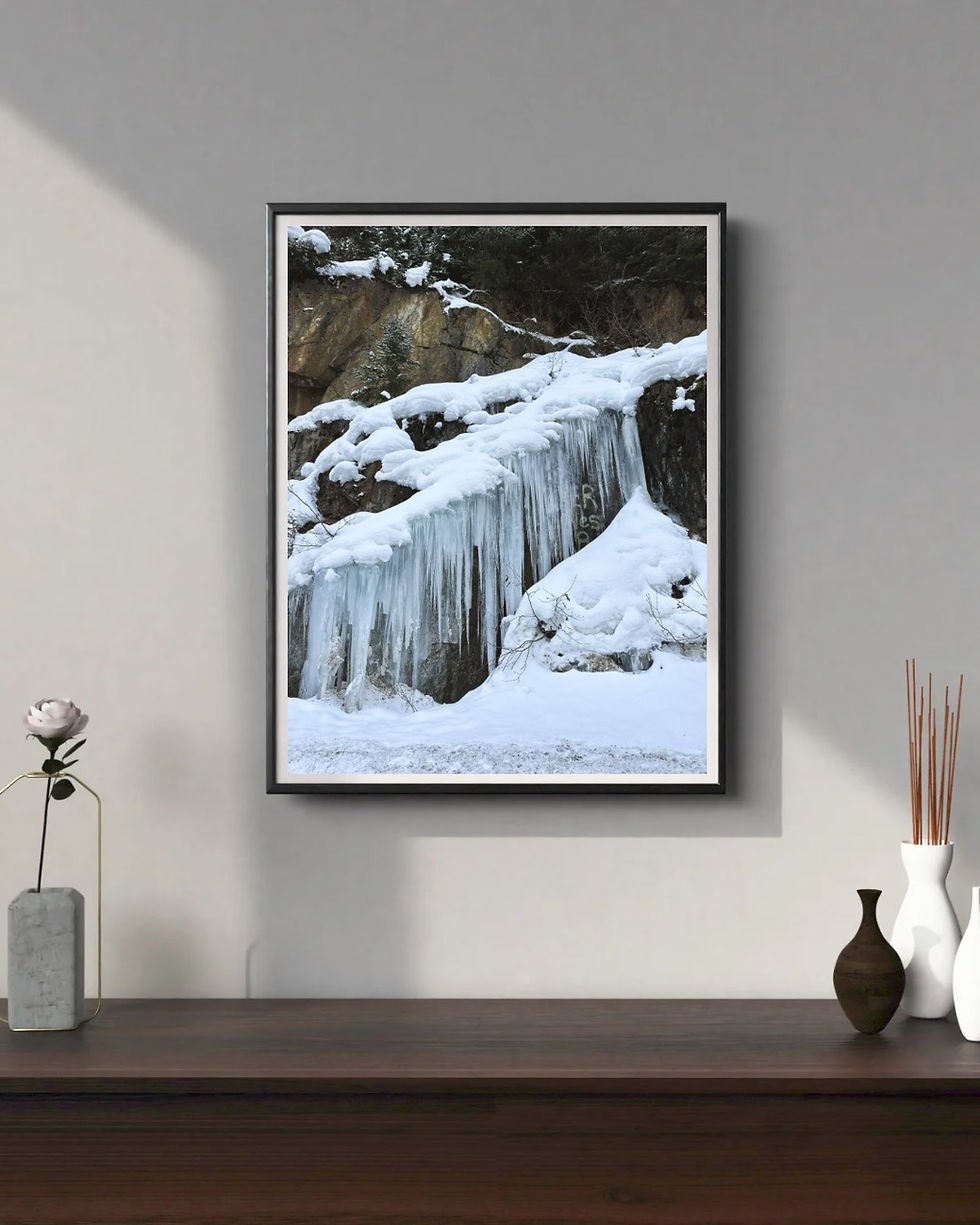 CO222 - Icicles of the Duff