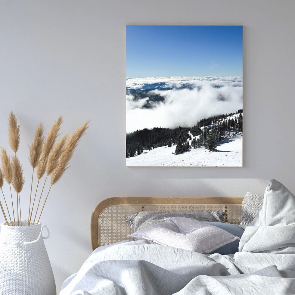 CO231 - Above The Clouds