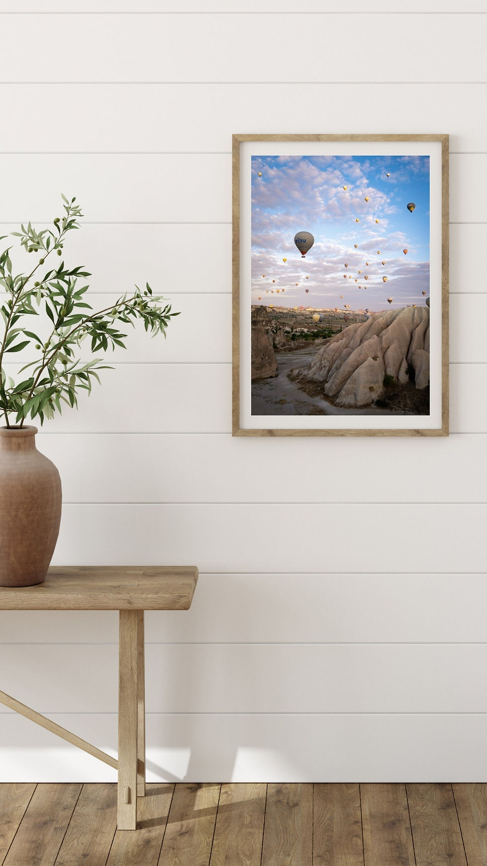 CO192 - Balloons of Cappadocia
