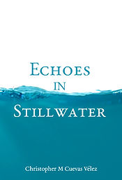 Echoes In Stillwater Official cover_Ebook.png