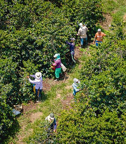 WhatsApp Image 2021-12-19 at 2.20.19 PM (1).jpeg