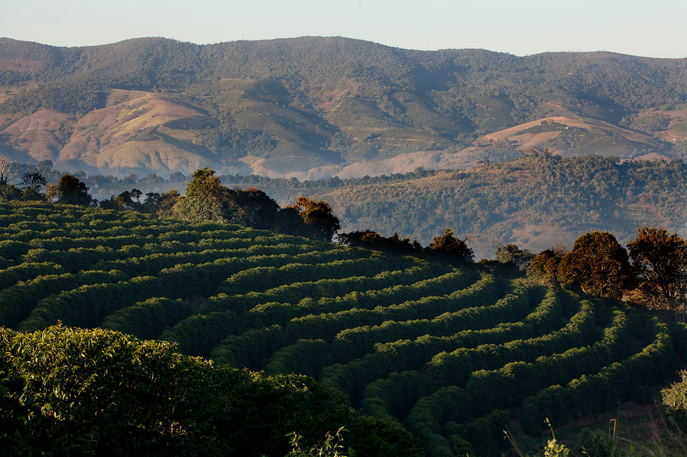 الصورة المصغرة: ستريك