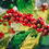 Thumbnail: Bensa | Sidamo