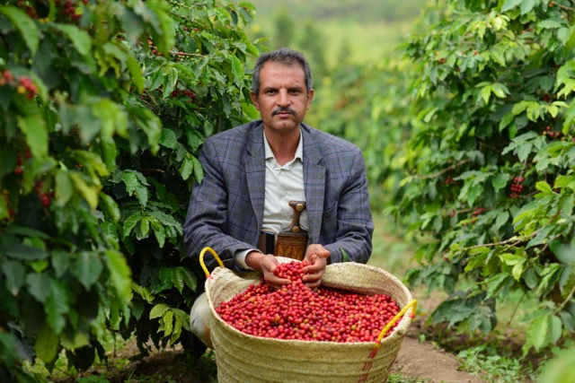 الصورة المصغرة: Mnba Alayoun
