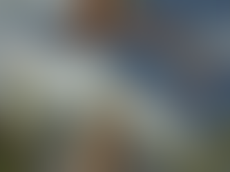 New Paper: Pterosaur Brain Evolution 