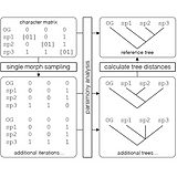PERDA_Fig1_Square.png