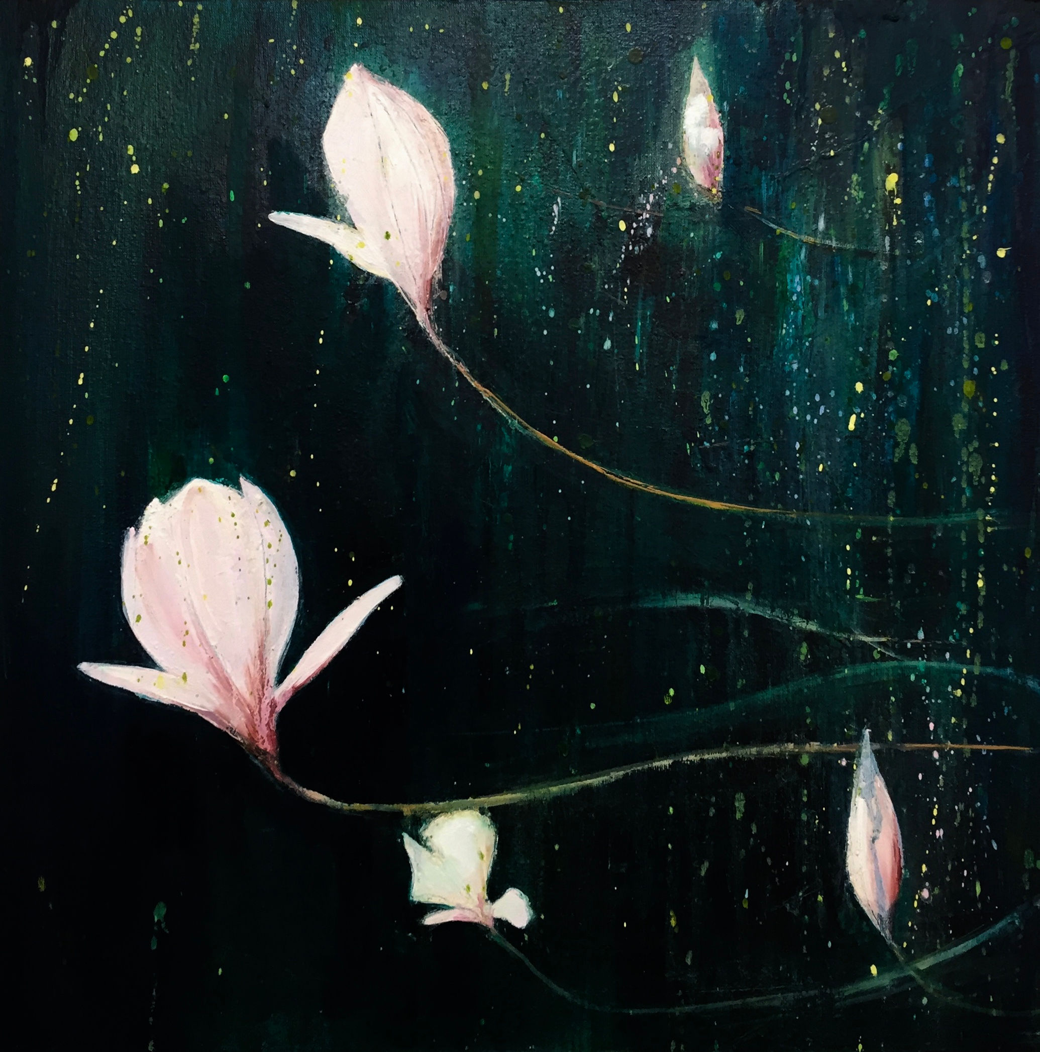 Magnolia in the woods