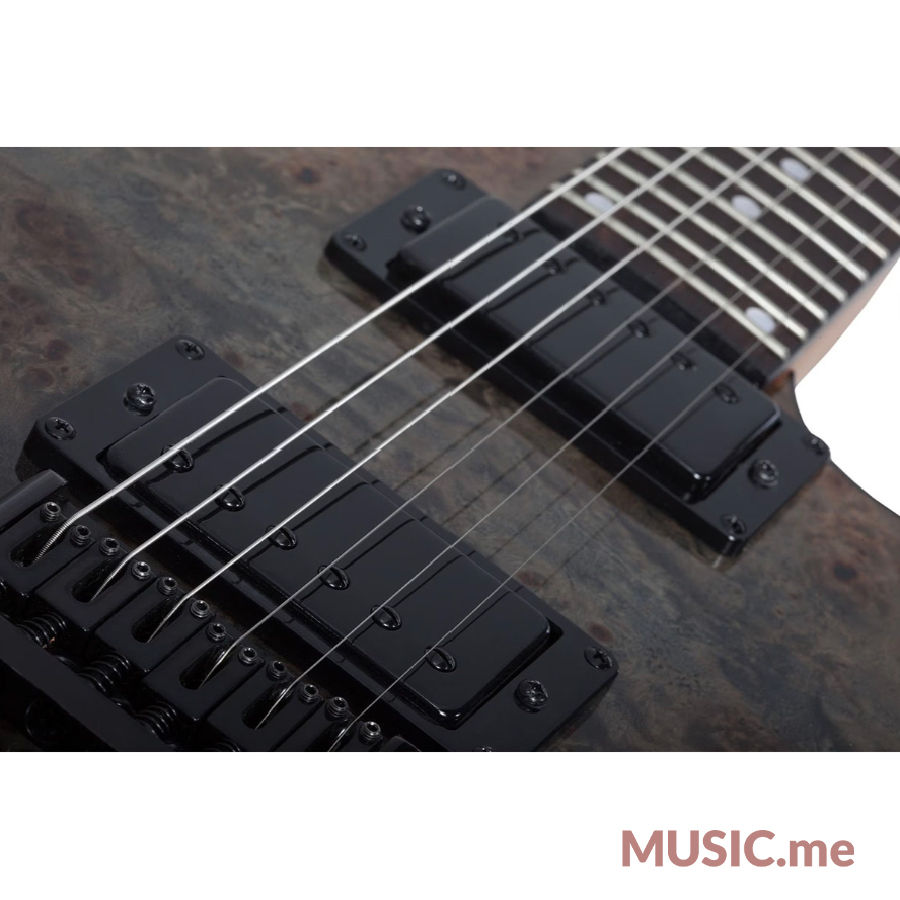 縮圖：Schecter C-1 Standard