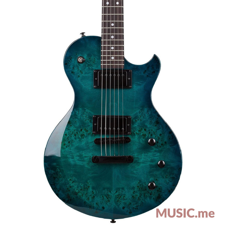 縮圖：Schecter Solo-II Standard