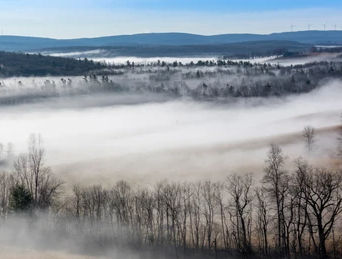 The Wisdom of Stillness