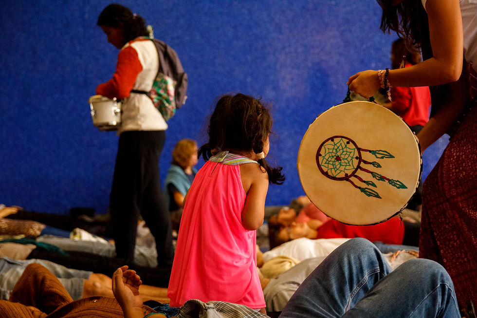 meditacoes animal de poder