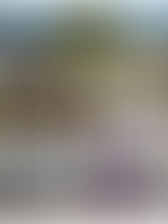 Roots & Wings’ Social Entrepreneurship - A Year Since Its Launch