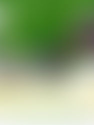 HANDOG PAG-ASA: A Project of BAIPHIL