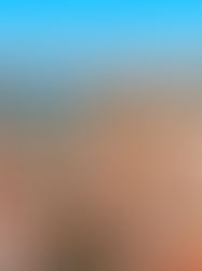 Toulouse, The Pink City and its many exciting colors