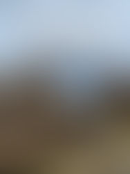 SIARGAO: The Aftermath and Our Road to Recovery after super typhoon Odette