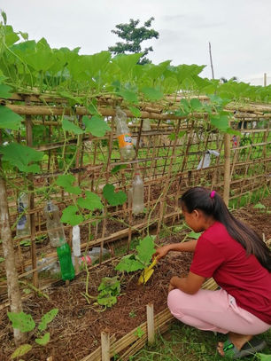 Rawmags Social Entrepreneurship Project: Laura Vicuna Training Center Palawan 