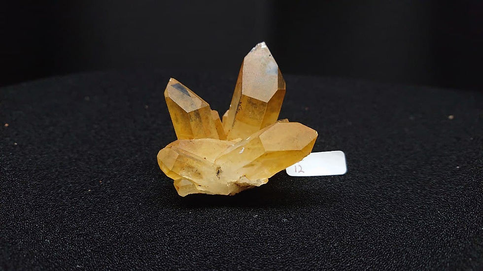 Thumbnail: Golden Healer Clusters