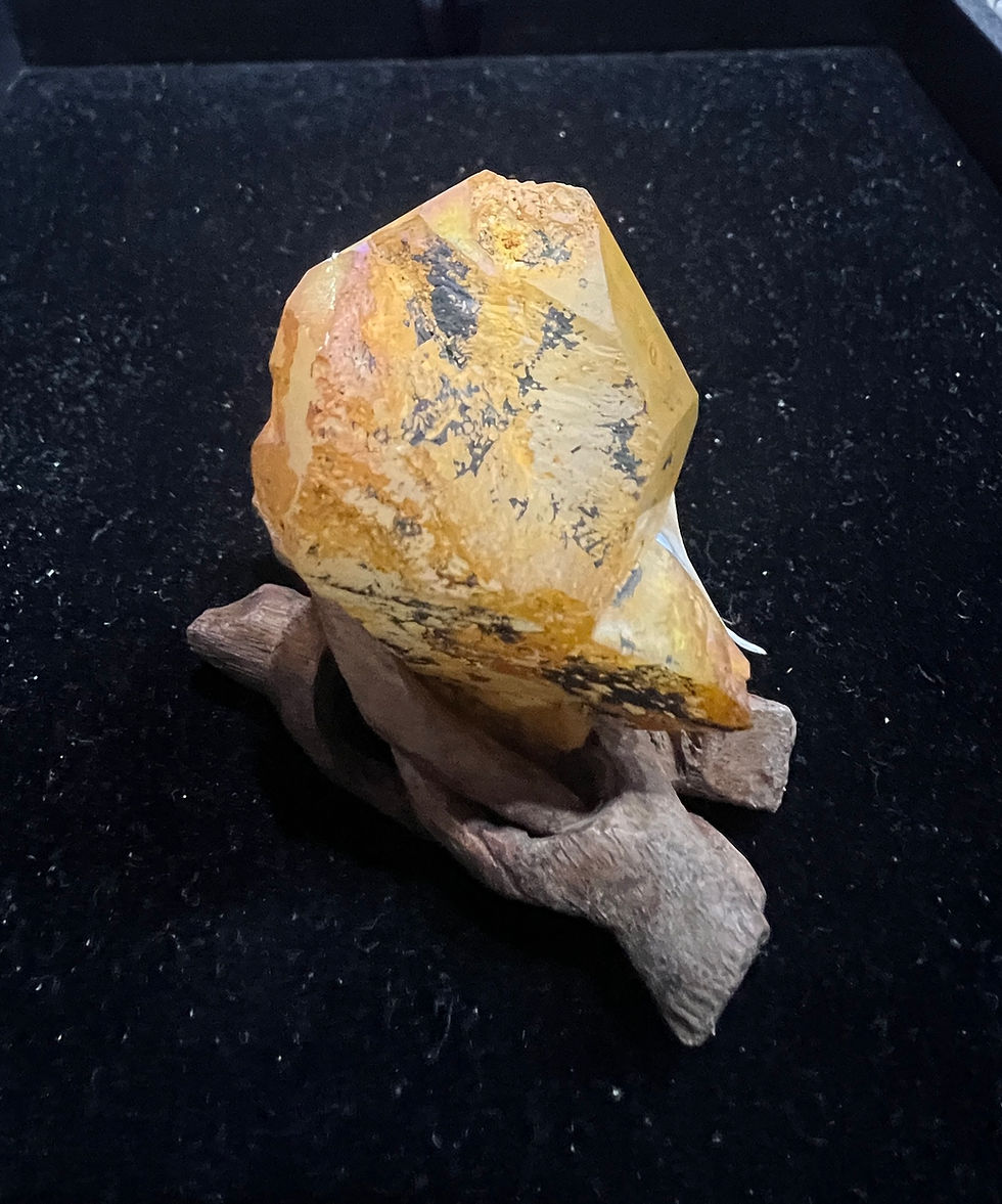 Thumbnail: Golden Healer Natural Point