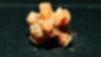 Aragonite cluster