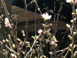 第37期の北海道容器商業協同組合総会