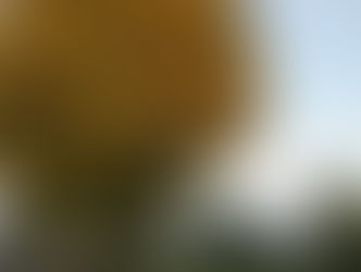 弊社のパンフレットが出来ました!