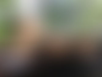 一升瓶の花瓶から朝顔の芽