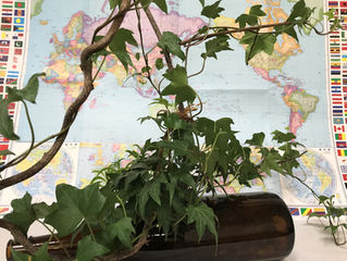 船に例えた一升瓶で🚢