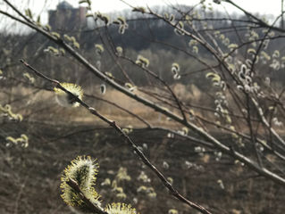 お酒の(一升箱)の回収業務🚛