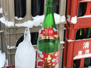 厳しい寒さにて