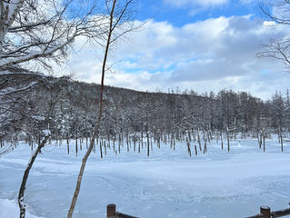 冬の北海道