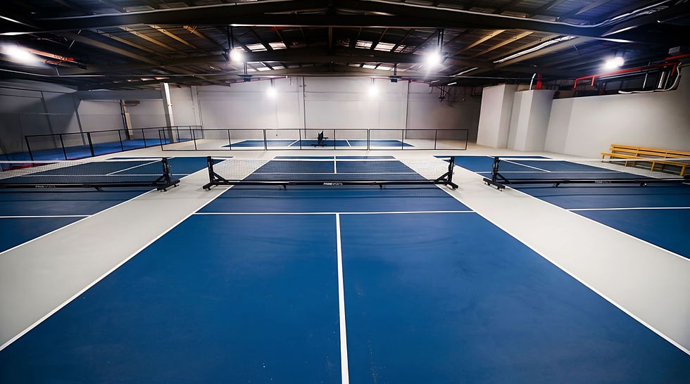 Pick N' Play Arena logo – pickleball courts and training in Marikina