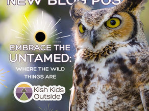 Embrace the Untamed: Where the Wild Things Are