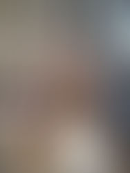 7月6日(日)猫の譲渡会・・・宵待草・・・参加猫