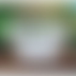 【発売決定】カプセルトイ「こびとづかん ライトマスコット」26年9月上旬発売決定!