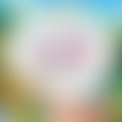 【大阪府】紀伊國屋書店天王寺ミオ店でPOPUP "こびと百貨店” を1/17（土）〜開催！